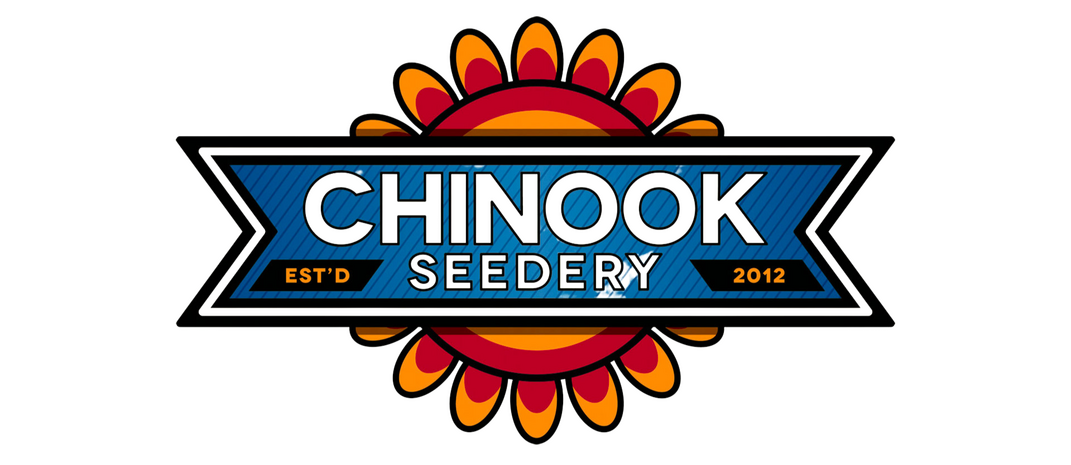 Chinook Chinook